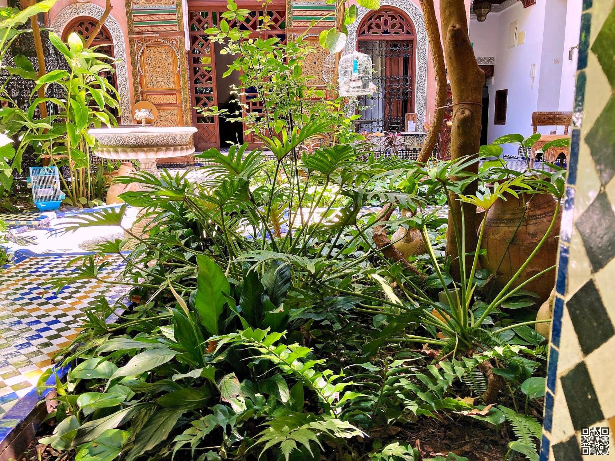 Riad Toyour- Riad Of Birds Fes Exterior photo
