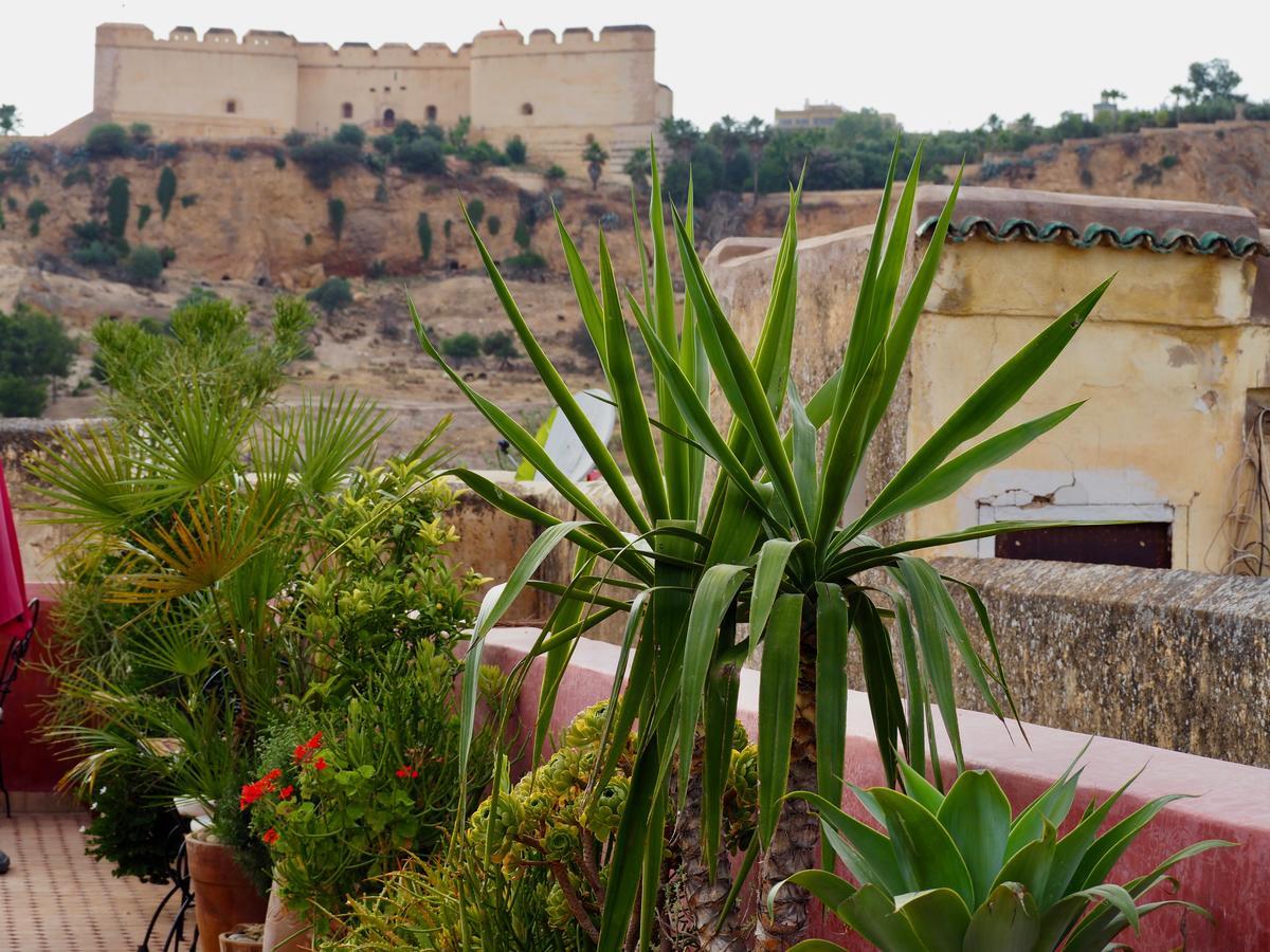 Riad Toyour- Riad Of Birds Fes Exterior photo